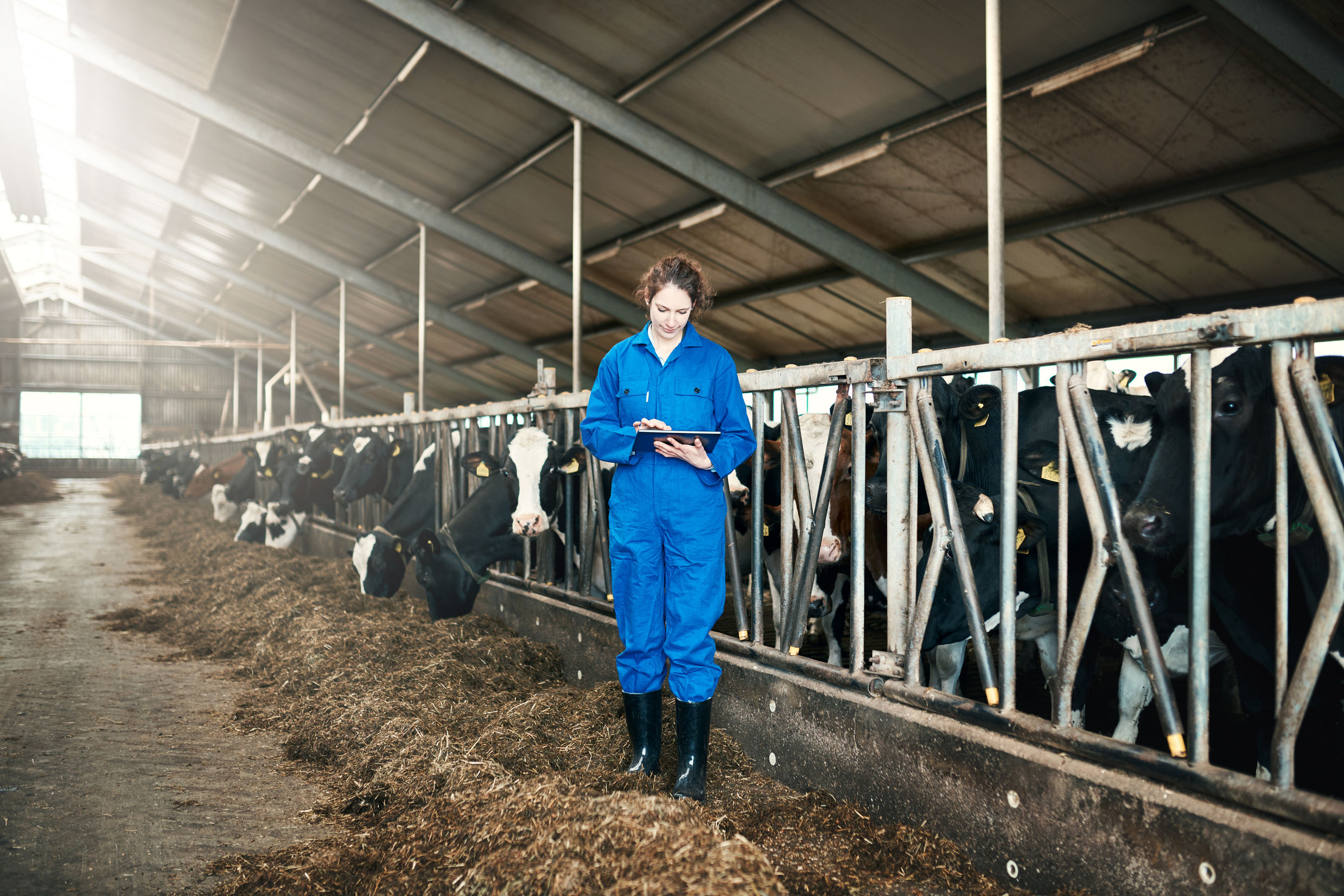The digital dairy farmer